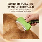 See the difference after one grooming session with the Patoune brush