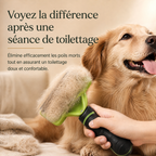 Brosse Patoune remplie de poils morts après le brossage d'un golden retriever