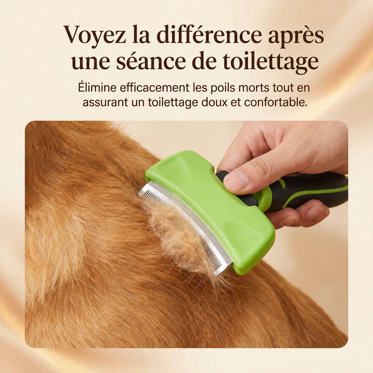 Voyez la différence après une séance de toilettage avec la brosse Patoune